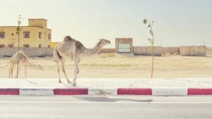 Lesson one: crossing the street — Mauritanie, 2016