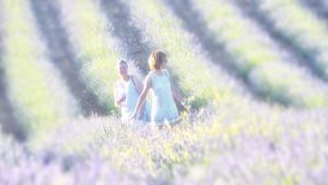 Lavender photoshooting — Brihuega, 2018